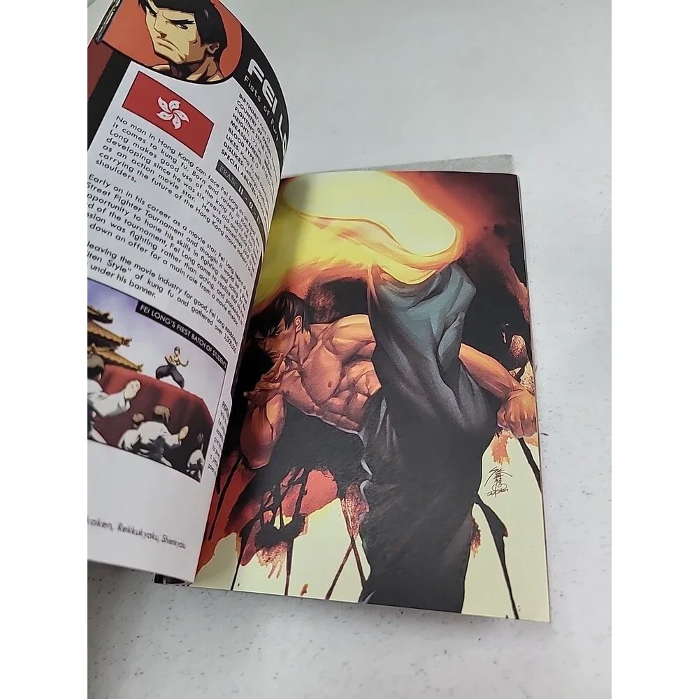 Street Fighter Warrior Guide CapCom Udon, 1st edition 2016